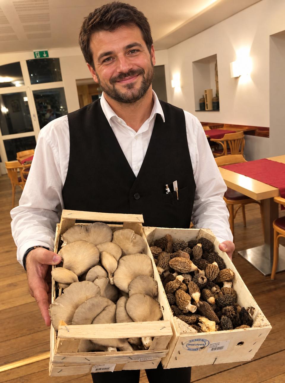 Une cagette de champignons des bois en salle